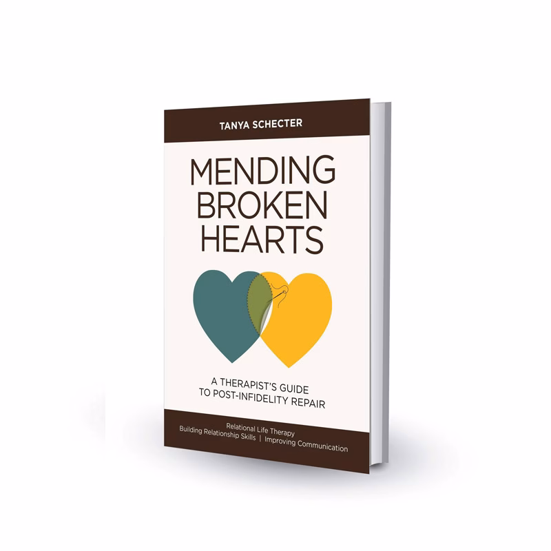 Mending Broken Hearts Book by Tanya Schecter